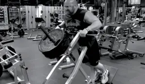 plate loaded rows for a massive back