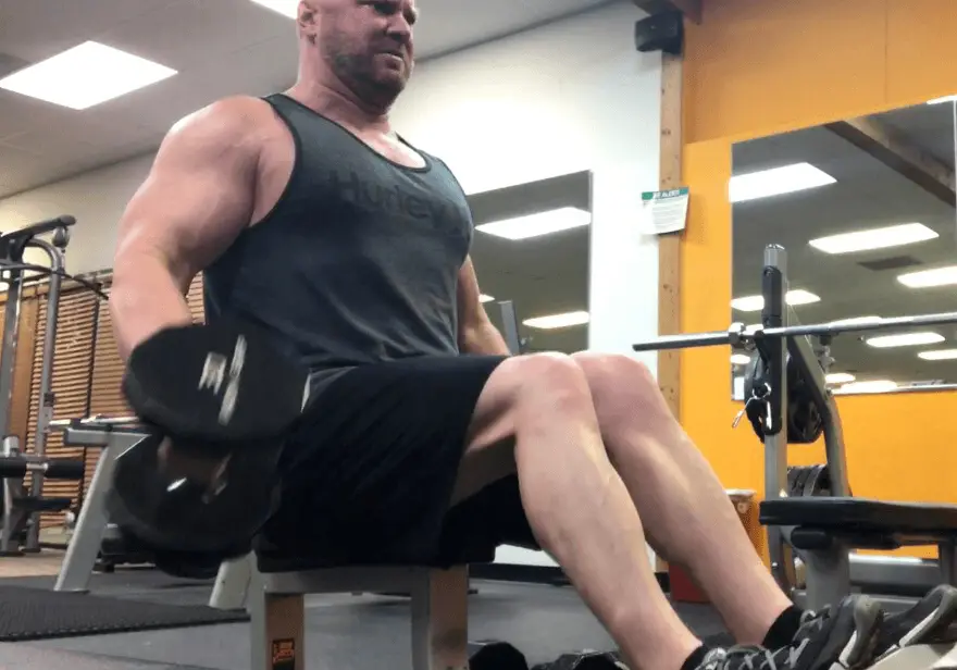 seated dumbbell curls for arm day biceps