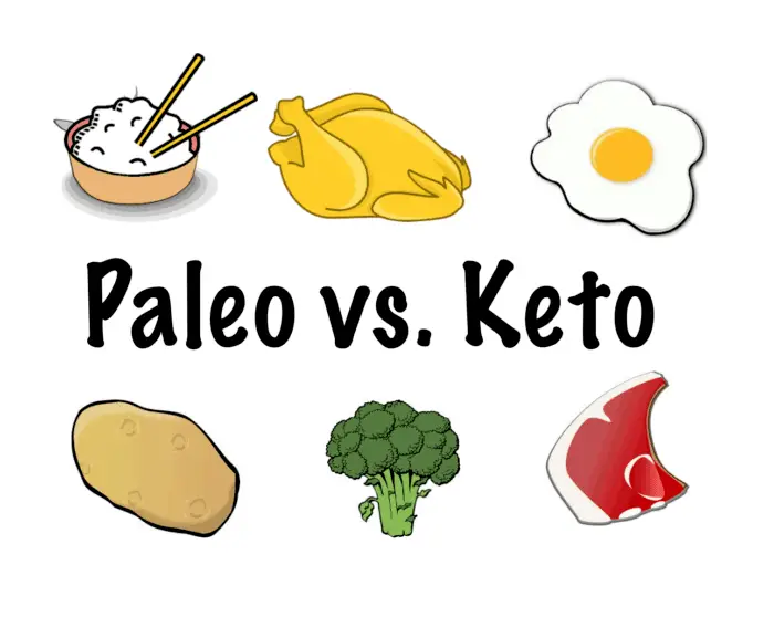 paleo vs keto for bodybuilders
