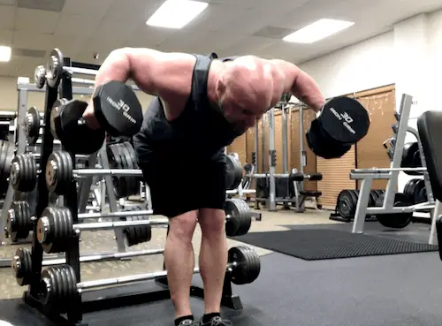 rear delt raises bent over raises