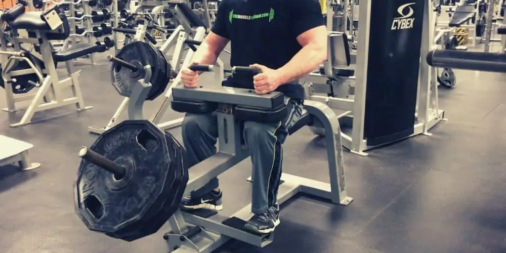 seated calf raises