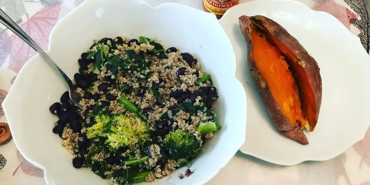 plant based muscle building meal plan