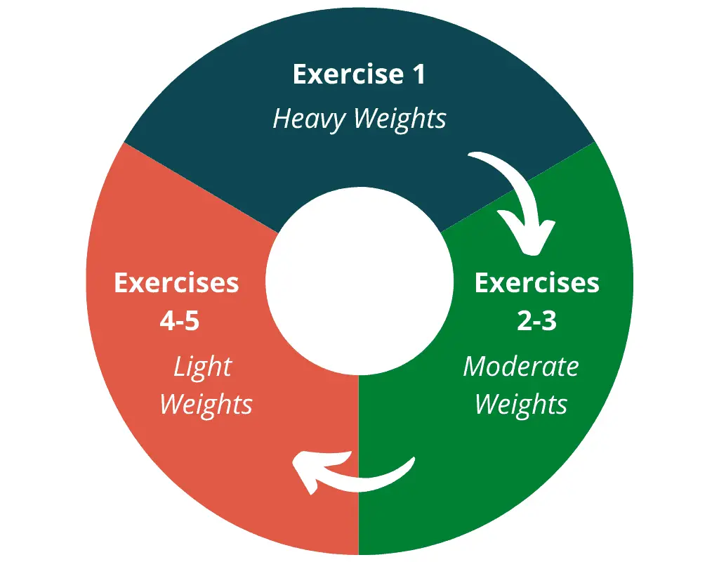 muscle growth workout graph chart