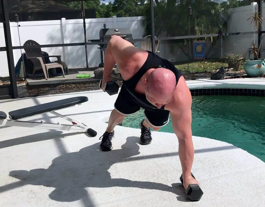 Dumbbells - back - renegade rows2
