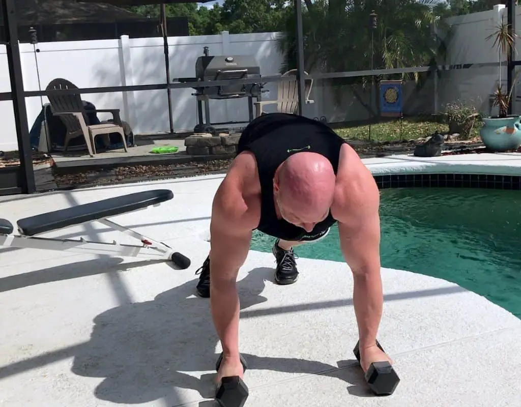 Dumbbells - back - renegade rows