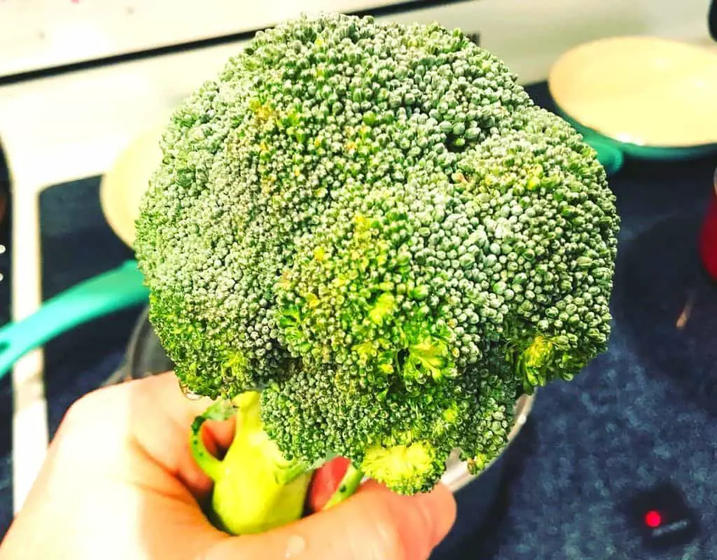 Food - broccoli