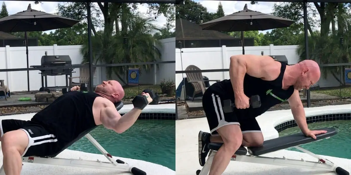 Chest and back hotsell workout with dumbbells