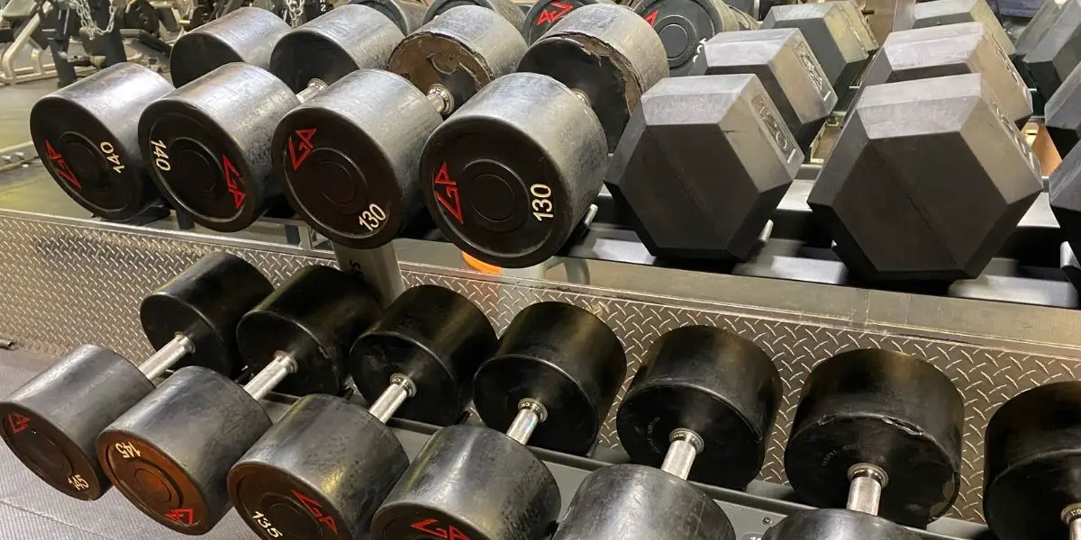 heavy dumbbells on rack